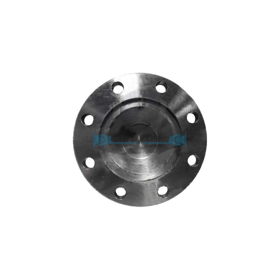 PLATO CARDAN S.1410 DIN 120x8x10.1