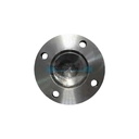 CARDAN EXTR.-CORTO S.105 DIN 65x4x6; Lz215; La25; P/CR.17x41